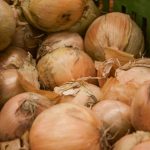 preco-by-sa-cibula-na-salat-mala-krajat-pozdlzne-nie.jpg